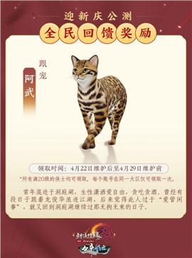 天龙八部私服法战